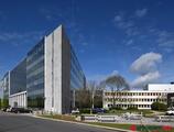 Offices to let in DIAMOND HARTOG NETWORK FOREST   +3A
