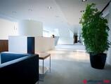 Offices to let in LOUISE 523 LEGRAND  +6