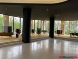 Offices to let in LOUISE 480  0<1
