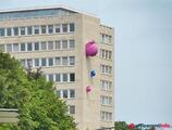 Offices to let in QUATRE BRAS   +4