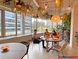 Offices to let in Hive5 Co Working - Merode
